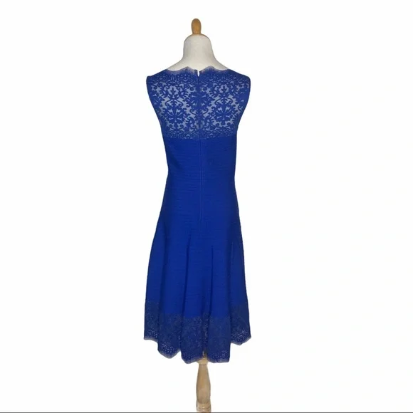 Tadashi Shoji Matte Lace A-Line Jersey Dress Blue -  threedaughtersproperties.com
